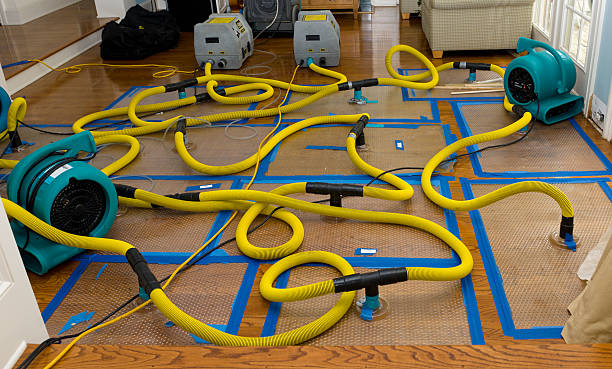 Professional Crawl Space Water Removal technician working in Brilliant, OH